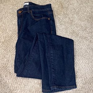 Loft Dark Wash Skinny Jean
